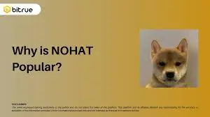 DogWifNoHat
